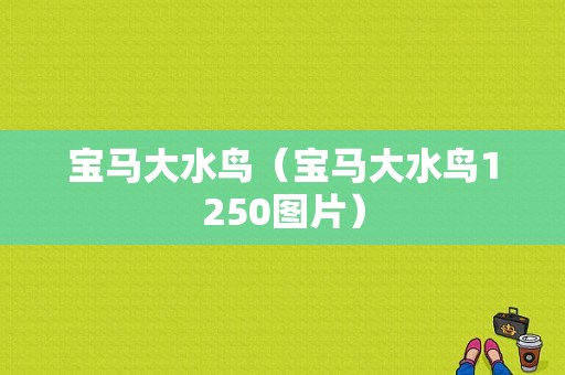 宝马大水鸟（宝马大水鸟1250图片）