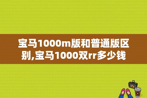 宝马1000m版和普通版区别,宝马1000双rr多少钱